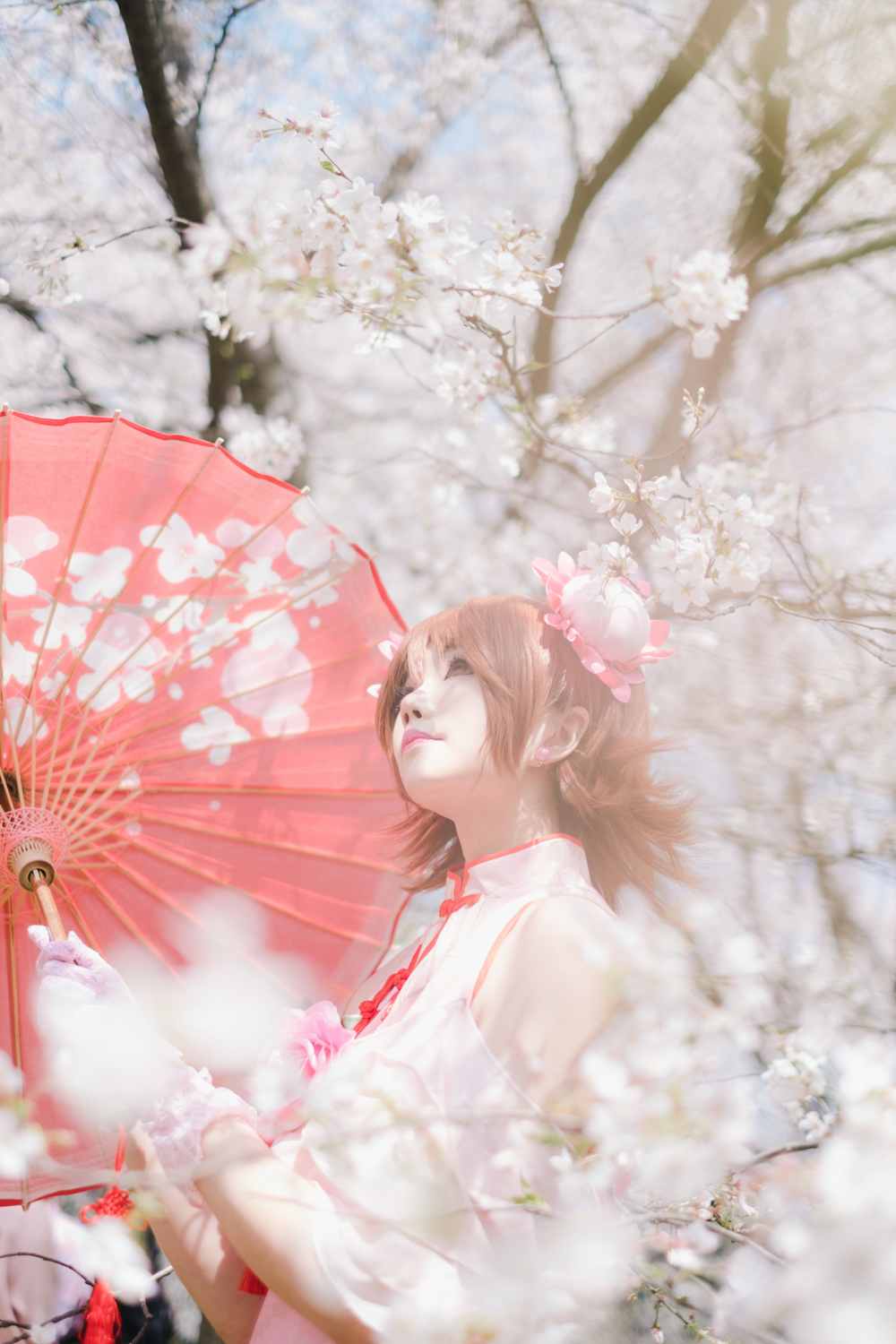 家庭教师旗袍笹川京子