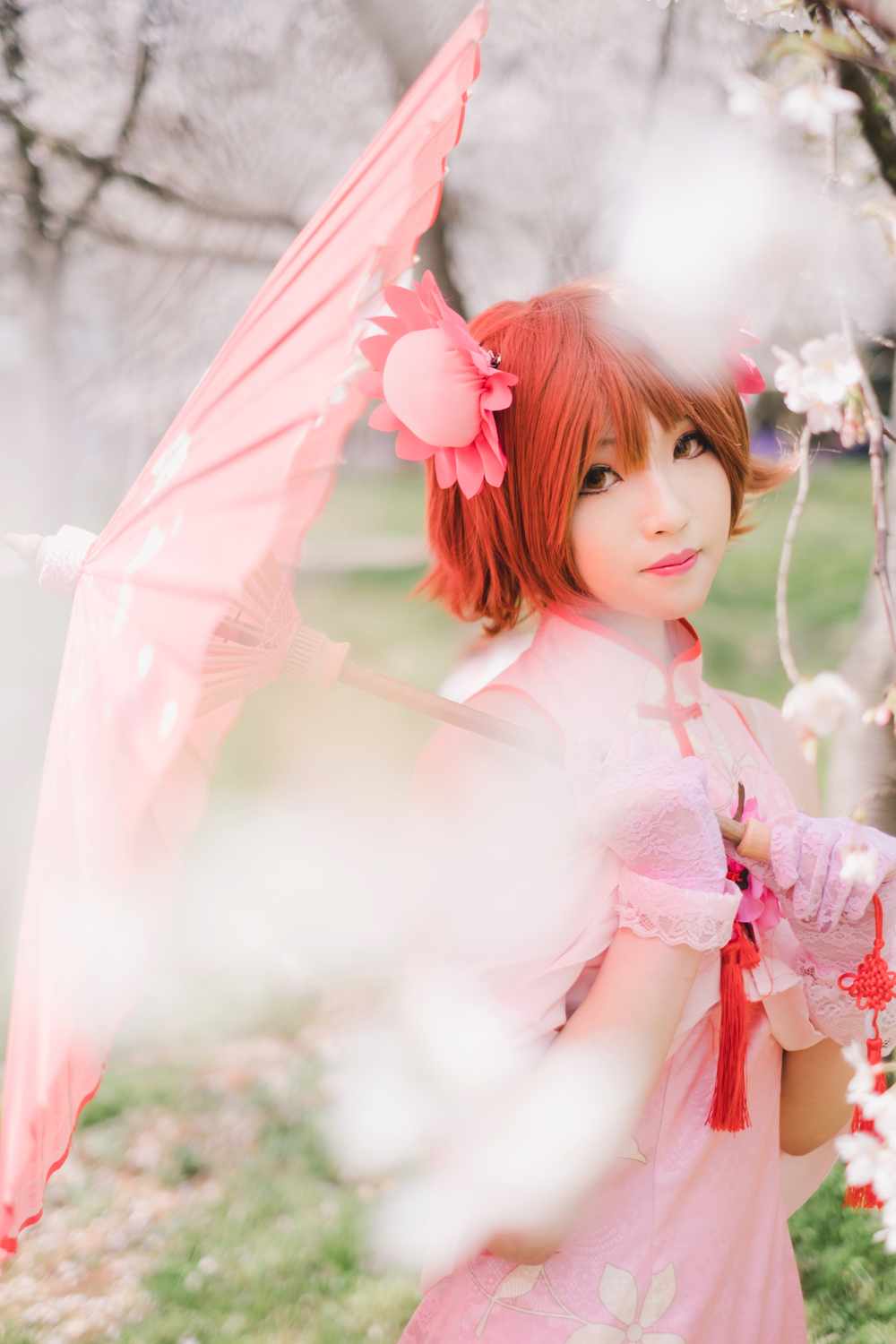 家庭教师旗袍笹川京子