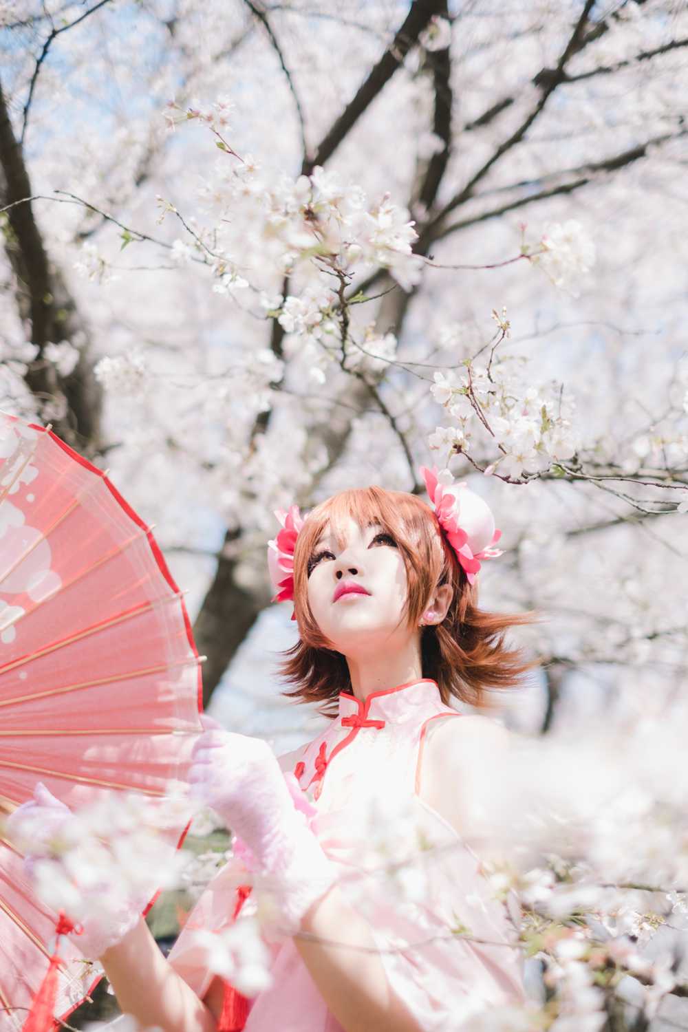 家庭教师旗袍笹川京子