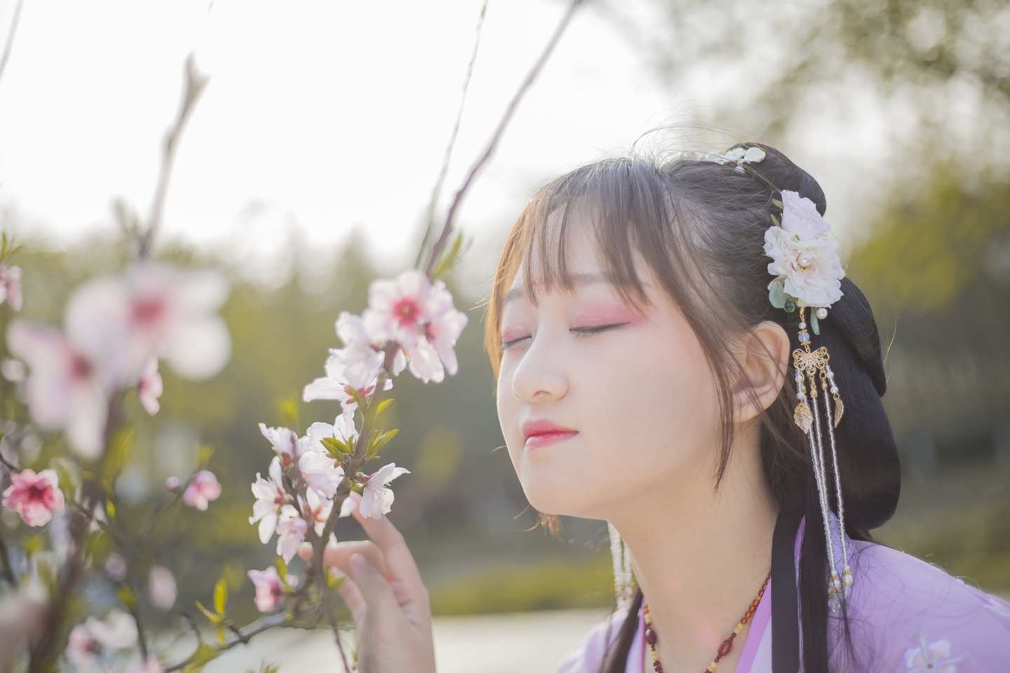 花枝飞舞  花飞花落