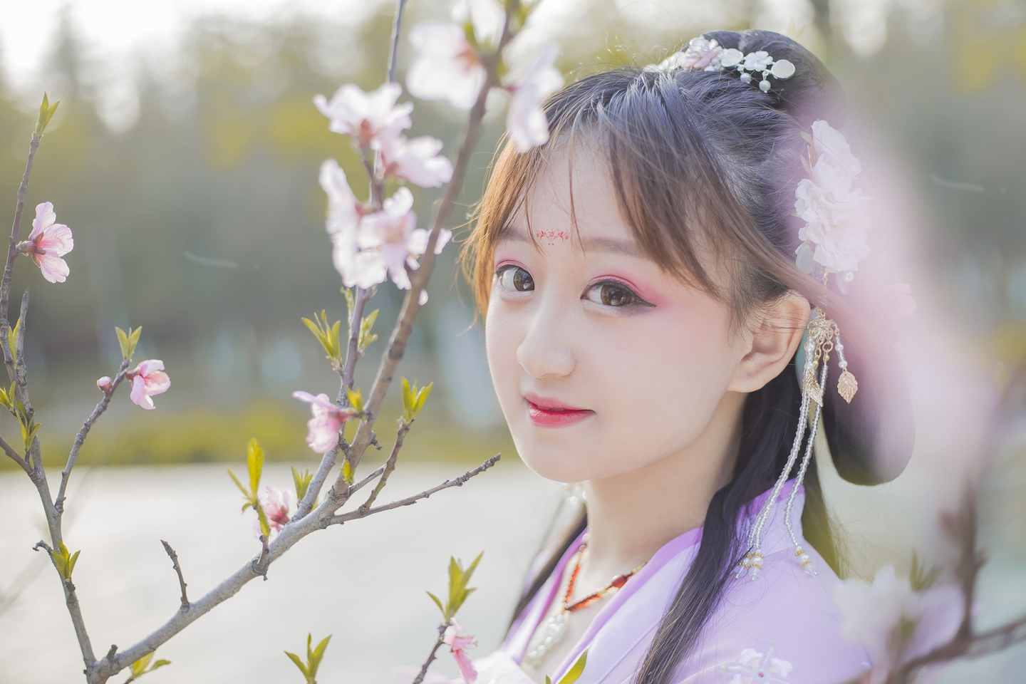 花枝飞舞  花飞花落