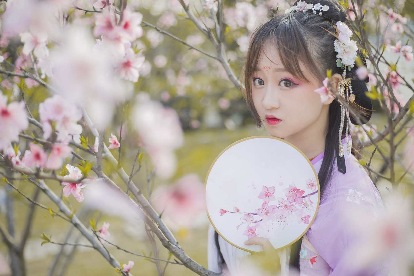 花枝飞舞  花飞花落