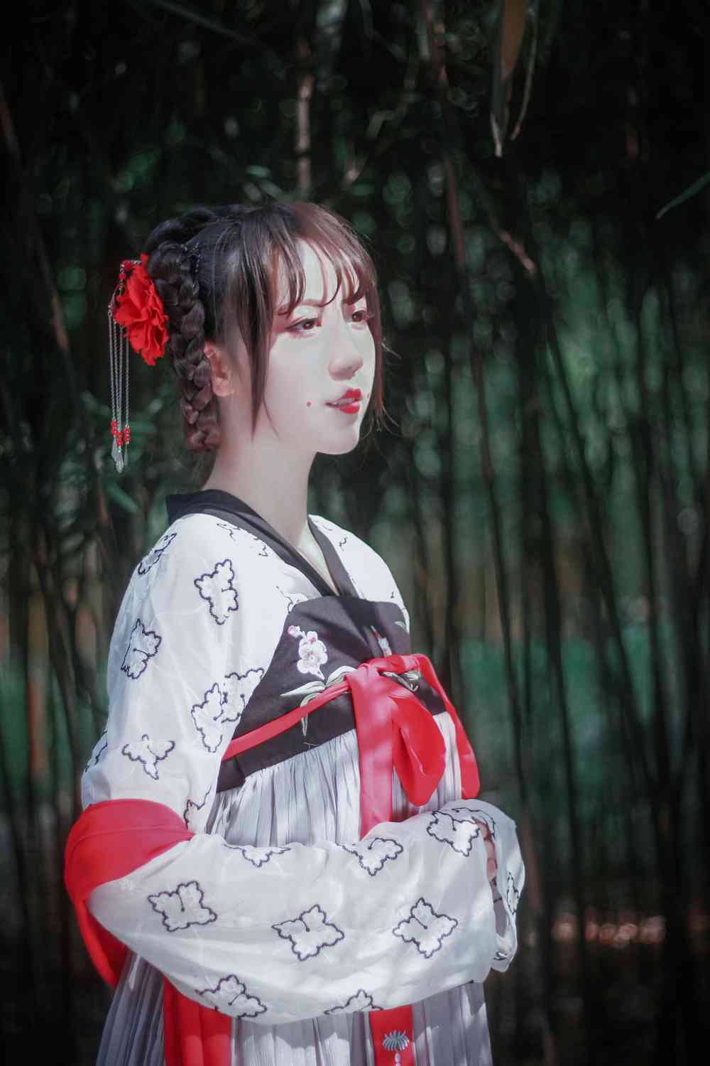 汉服私影 齐胸襦裙