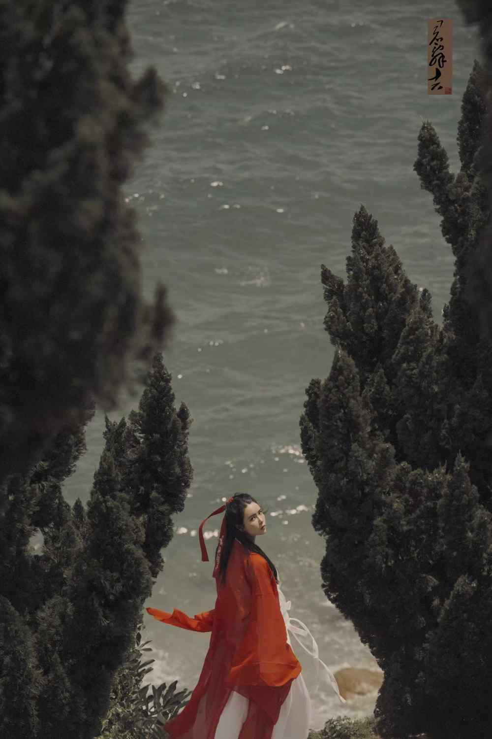 古装魏晋时期！