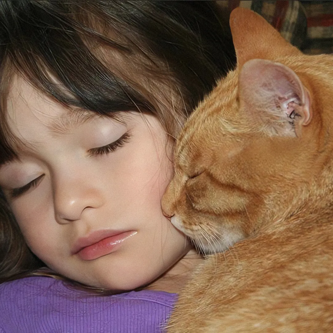 𝑾𝒆𝑪𝒉𝒂𝒕头像小合集