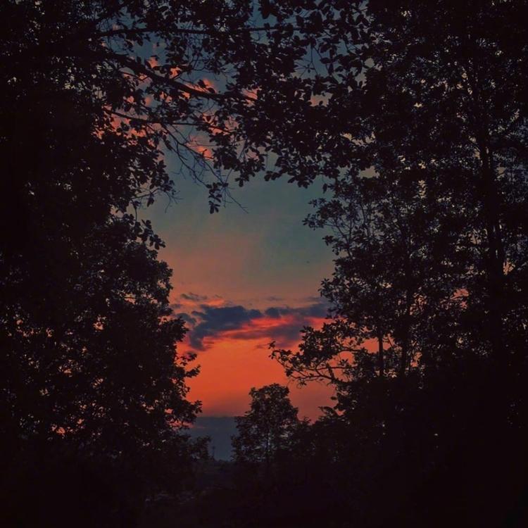 [头像]风景头像 夕阳无限好 只是近黄昏