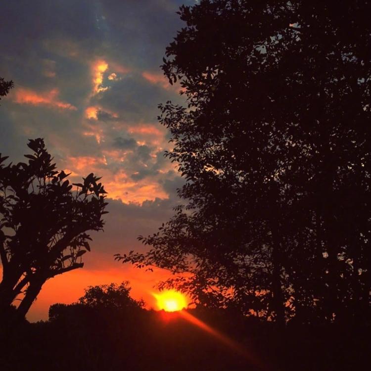 [头像]风景头像 夕阳无限好 只是近黄昏