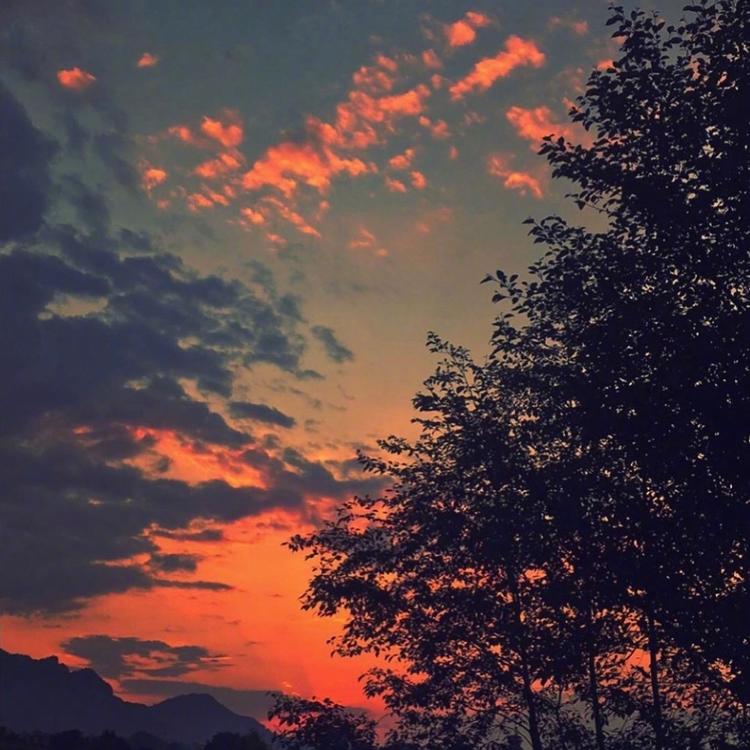 [头像]风景头像 夕阳无限好 只是近黄昏