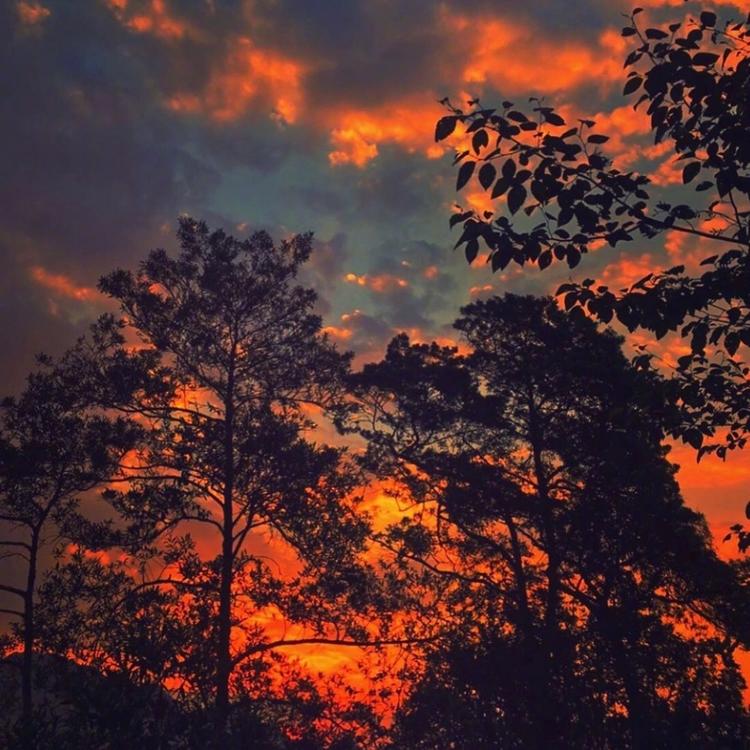 [头像]风景头像 夕阳无限好 只是近黄昏