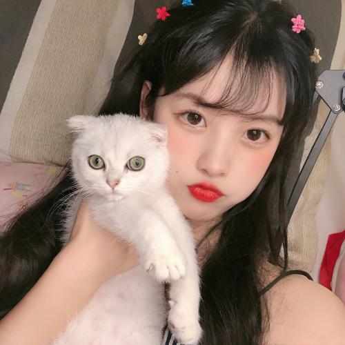 适合气质女孩使用的微信头像图片高冷气质美女