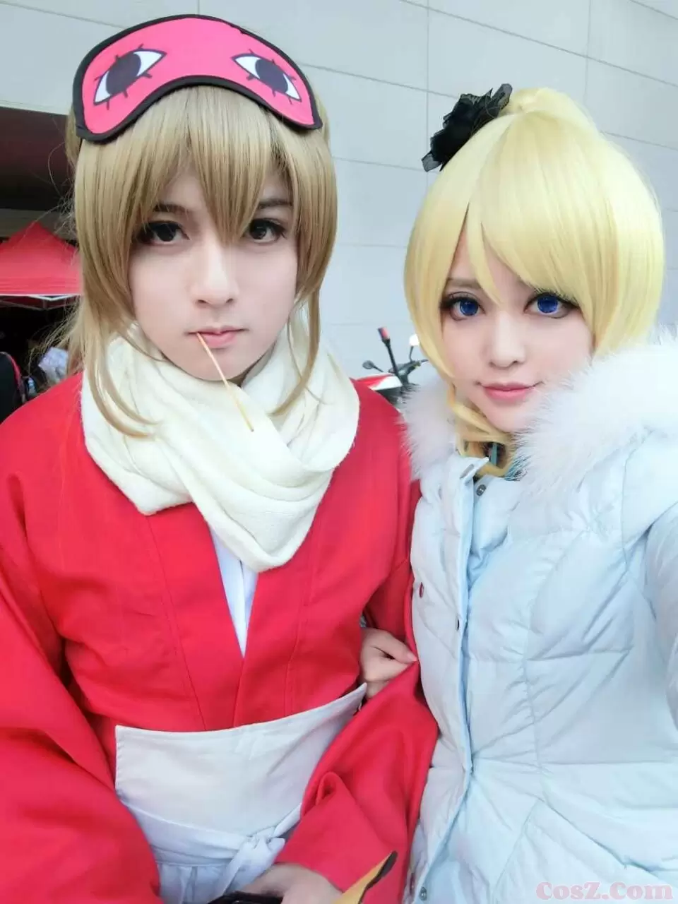 《C站·第234期》知世两只小可爱在图书馆逗猫