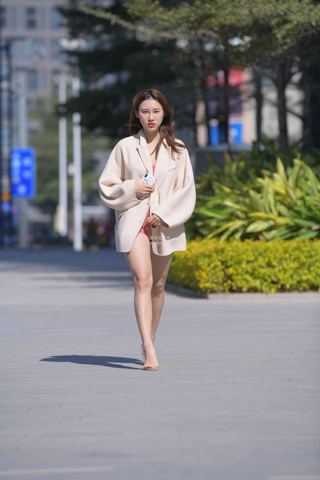 精选街拍作品 NO.1498 阳光下安静的猫2-美图