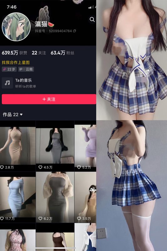 抖音 瀛猫 微密圈  NO.035期 【29P1V】-美图