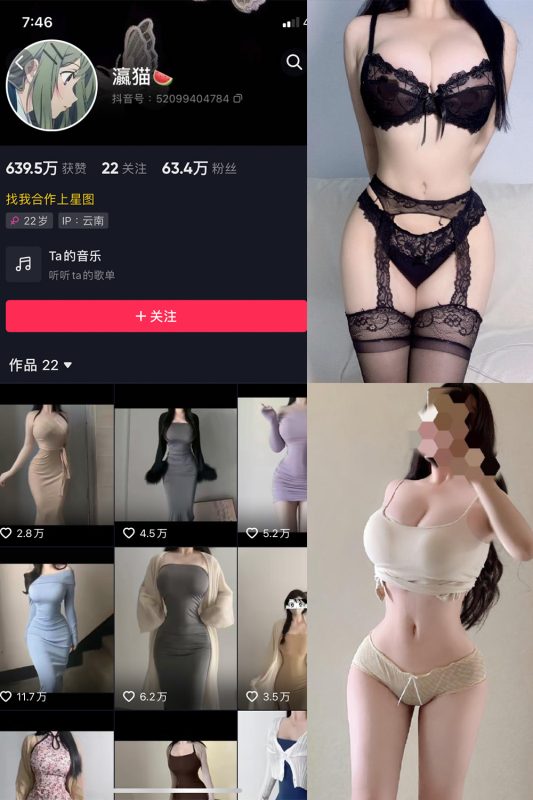 抖音 瀛猫 微密圈  NO.040期 【14P1V】最新至：2024.3.28-美图