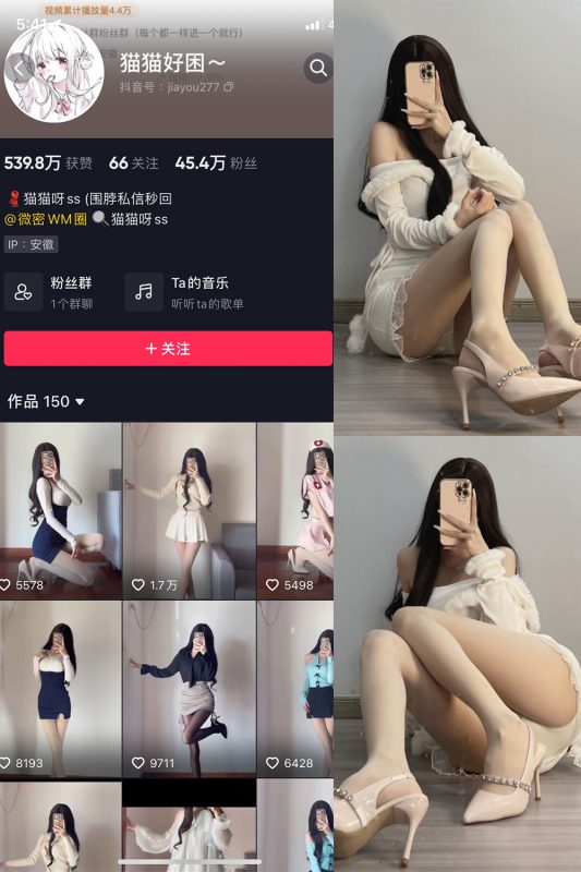 抖音 猫猫好困 微密圈  NO.030期 【81P】最新至：2024.4.29-美图