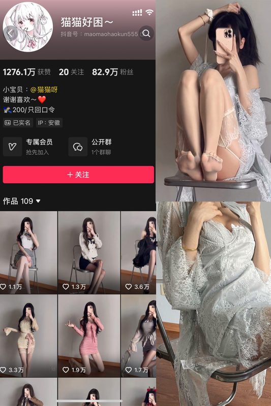 抖音 猫猫好困 微密圈  NO.044期 【4P3V】最新至：2025.4.20-美图